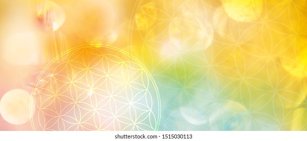 A new dimension of creation: 
banner flower of life in bright yellow light
