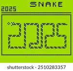 The new year of the snake 2025