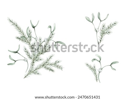 Similar – Image, Stock Photo White mistletoe Nature