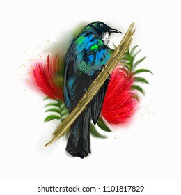New Zealand bird