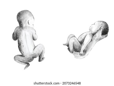 Newborn Baby Peacefully Sleeping On Tummy And Parent's Arm In Black And White Watercolor Illustration