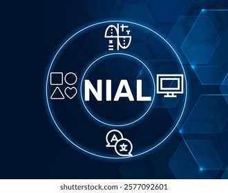 Nial acronym. Nial is a programming language used for symbolic mathematical computations.