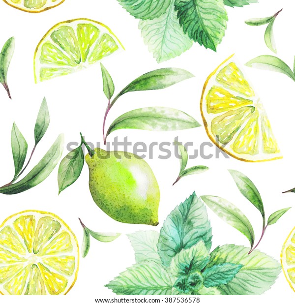 手作りのお茶の葉とかんきつ類の実の良い柄 レモン グレープフルーツ オレンジ ミント ライム 水の色 のイラスト素材