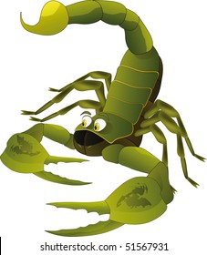 Nice scorpion