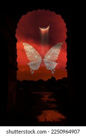 NIGHT VIEW BUTTERFLY DESIGN