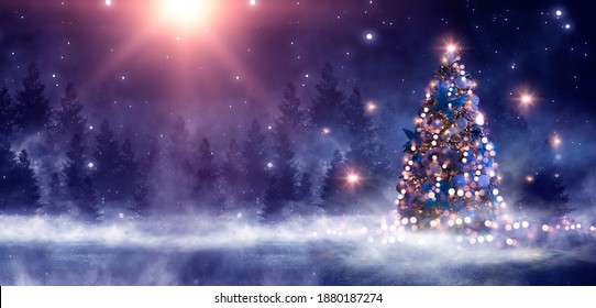 778,788 Christmas trees landscape Images, Stock Photos & Vectors ...