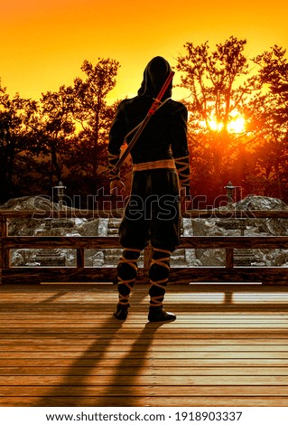Ninja and the sunset 3D rendering