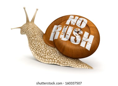 No Rush Snail (clipping Path Included)