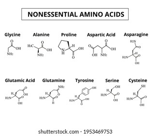 Amino acid structure