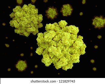 Norovirus