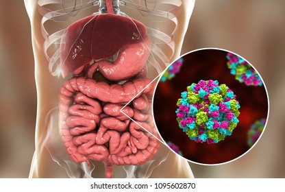 8,249 Diarrhea virus Images, Stock Photos & Vectors | Shutterstock