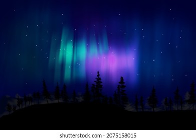 
northern lights in the forest, brush illustration