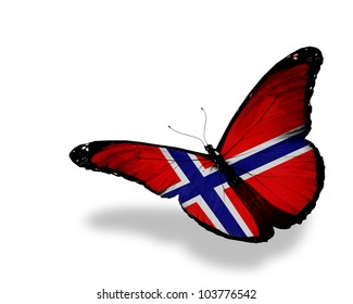 Norwegian flag butterfly flying, isolated on white background - Powered by Shutterstock