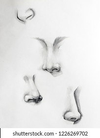 Nose Sketch Anatomy Symbol, Body, Nostril, Drawing