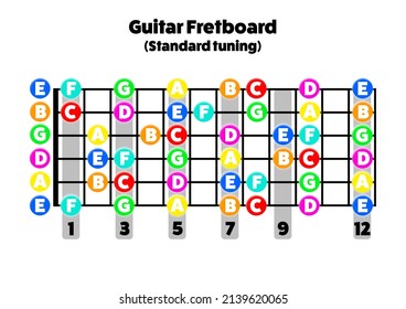 Notes on the guitar fretboard. Printable A4 format, Landscape mode. For music schools, teachers and students to learn the notes on the neck. - Powered by Shutterstock