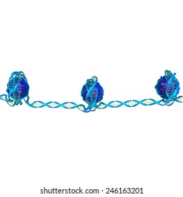 Nucleosome