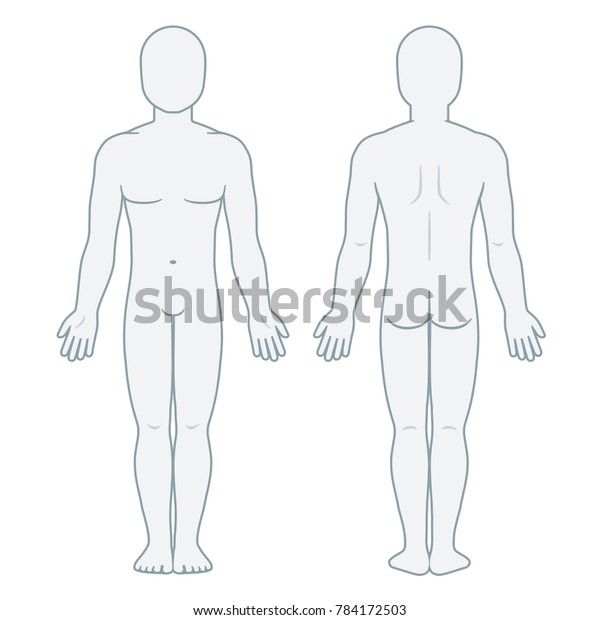 男性の体の正面と背面のヌード 医療インフォグラフィック用の空白の男性の本体テンプレート 分離型イラスト のイラスト素材