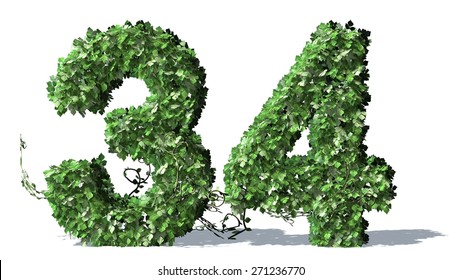 Number 53 Alphabet Green Ivy Leaves Stock Illustration 271320140 ...