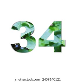 Number 34 design with leaf texture on white background