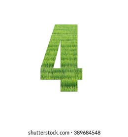 Number Green Grass Field Texture On Stock Illustration 389684548 ...