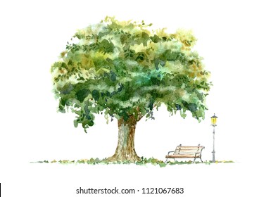 Oak, Bench And Lantern.Deciduous Tree. Watercolor Hand Drawn Illustration.White Background.