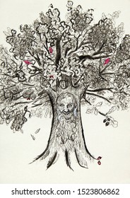 The oak and the