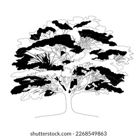 Oak Tree on white background
