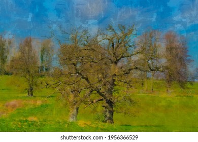 Oak trees standing tall in the English countryside stating to bud on the early days of spring with blue skies oil painting 