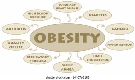 Obesity Diagram With The Possible Adverse Effects On The Human Body