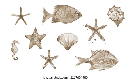 Ocean Animals Design. Watercolour Sea Life Shell Illustration Isolated On White Background.