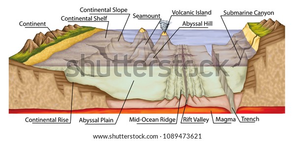 海底 海底 水中浮き彫り 地球の海洋 海底測量 地理学 地質学 大陸棚 斜面と隆起 深海平原 丘 トレンチ マグマ 火山島 のイラスト素材