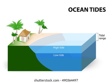 Ocean Tides. Tidal Range. The Tidal Range Is The Difference In Sea Level Between Low Tide And High Tide