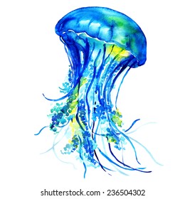 Ocean Water Jellyfish
