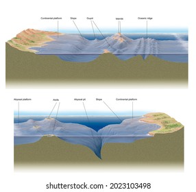 Oceanic Geologytopography Ocean Floor Stock Illustration 2023103498 ...