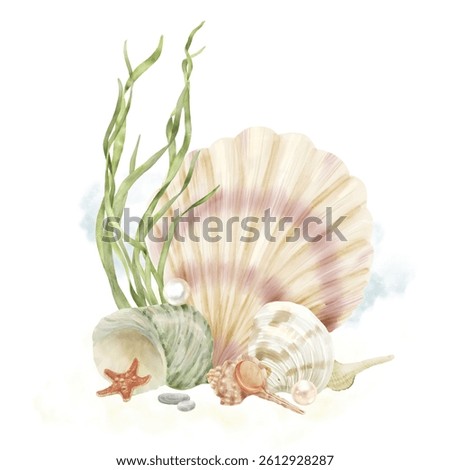 Oceanic shells from the ocean floor and a starfish next to green algae leaves. Watercolor illustration. The spiral shell of the turbo clam and the scallop are isolated on a white background. 