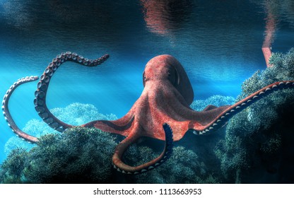 An octopus with an almost red and pink marbled skin moves among brown coral in an ocean shallow. The creatures tentacles whip around as it scuttles through the aquatic landscape.