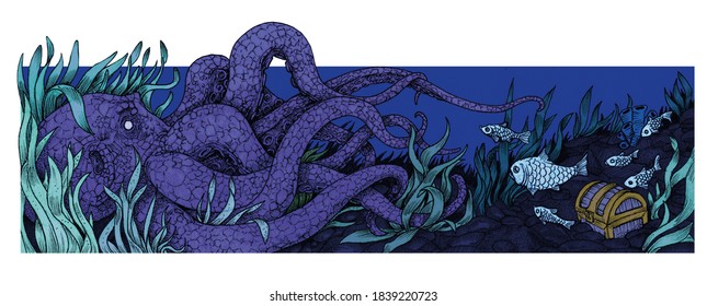 octopus stalks a couple of fish