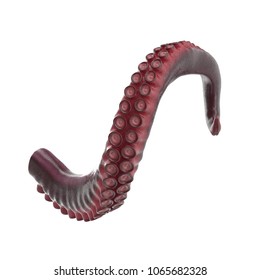 Octopus Tentacle On White. 3D Illustration