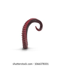 Octopus Tentacle On White. 3D Illustration