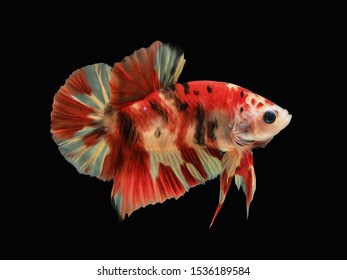 ベタ 魚 のイラスト素材 画像 ベクター画像 Shutterstock