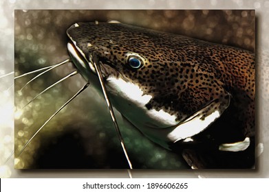 Oil paint on canvas. Picture with photo, imitation of painting. Illustration. Aquarium large, good-natured fish Oxidoras black or Blue-eyed catfish