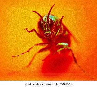 Oil Painting Of An Angry Bug Inside A Glass Jar, Orange Background And Artistic Line Framing.