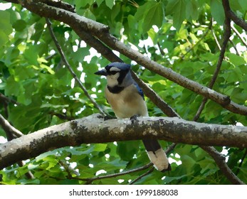 An Oil Painting Of A Blue Jay Bird