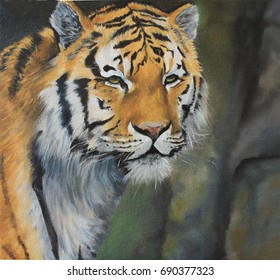 935 Tiger oil painting Images, Stock Photos & Vectors | Shutterstock