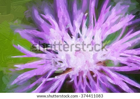 Oil painting Cornflower on a green meadow. Flower oil painting background.