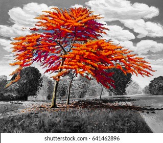 Oil painting landscape red orange color of Peacock flowers in the morning and trees sky cloud gray black, background. Hand painted,illustration