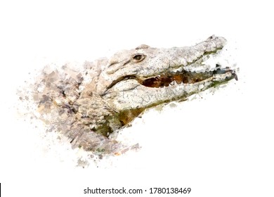 crocodile painting