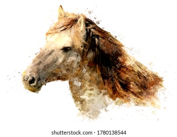 Oil Painting Style - Portrait of a horse with a mane