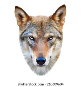 Download Wolf Mask Images Stock Photos Vectors Shutterstock PSD Mockup Templates