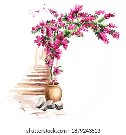 Old architecture of the Mediterranean, North Africa.  flowers of bougainvillea, Hand drawn watercolor illustration isolated on white background